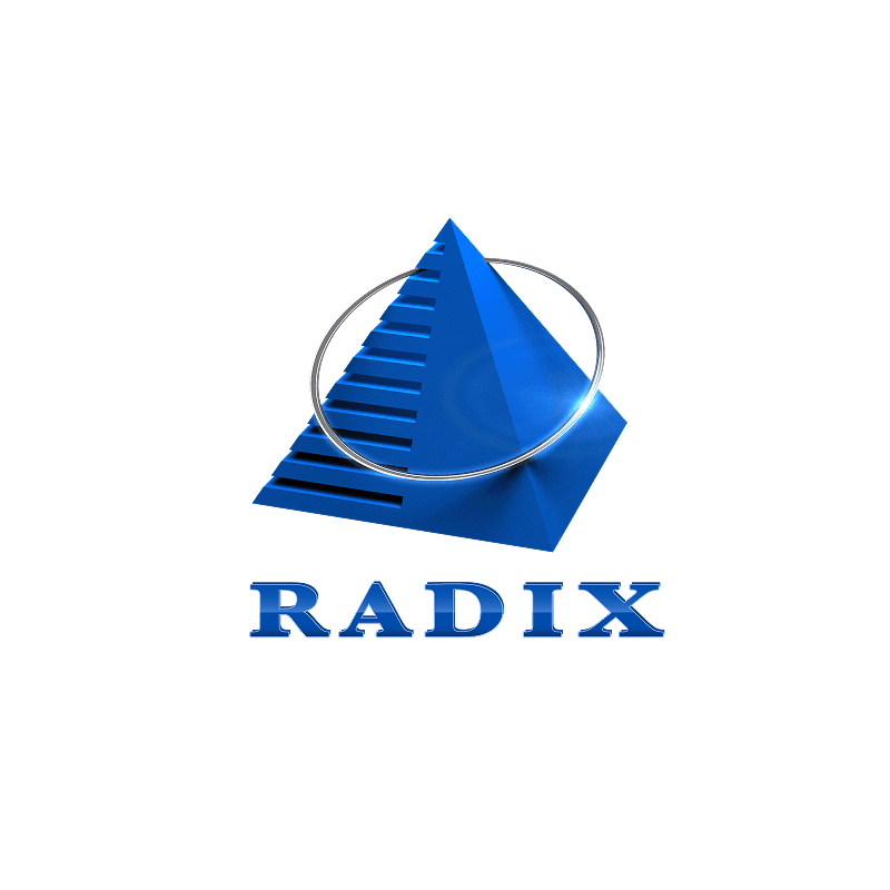 radixweb logo 2